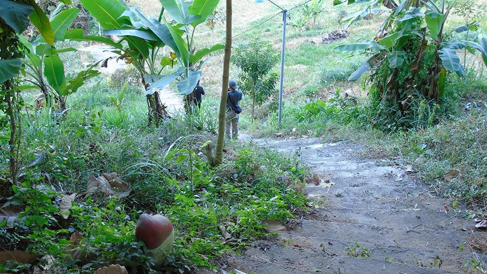 Makam Tan Malaka: Pahlawan atau Ingatan yang Disembunyikan?