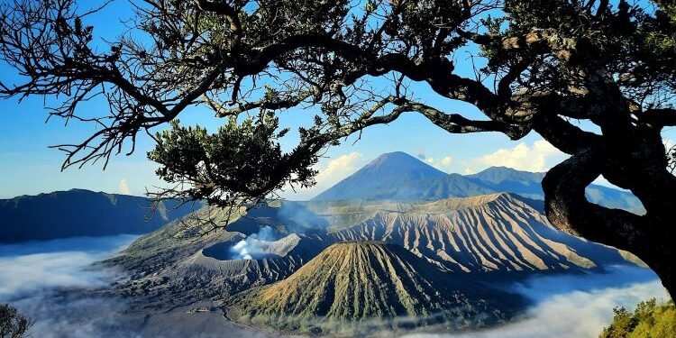 Bromo Ditutup Sementara: Alam Juga Butuh Libur, Kamu Kapan Liburan?