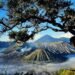 Bromo Ditutup Sementara: Alam Juga Butuh Libur, Kamu Kapan Liburan?
