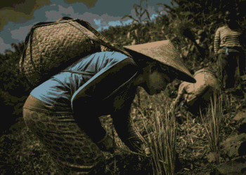 Mengapa Hak Kolektif Perempuan Adat Selalu Terpinggirkan?