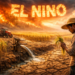 El Nino Datang Lagi: Petani Terancam Gagal Panen?