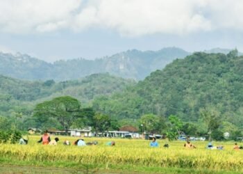 Karst Dihancurkan, Rakyat Disingkirkan: Ini Pembangunan atau Pengorbanan?