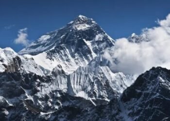 Ini Bukan Sekadar Es di Puncak Jaya, Ini Alarm Krisis Iklim Global