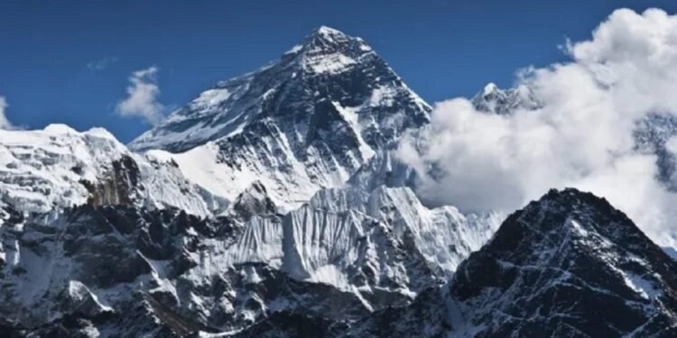 Ini Bukan Sekadar Es di Puncak Jaya, Ini Alarm Krisis Iklim Global