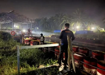 Subsidi untuk Rakyat, Untung untuk Mafia: 41 Ton Biosolar Disita di Riau