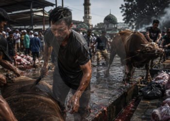 Krisis Juleha: Ketika Semua Daging Kurban Harus Cepat Selesai
