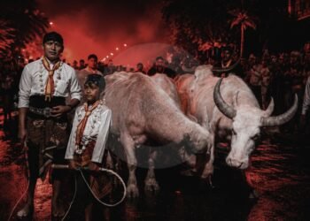 Asal Usul Kebo Bule Kyai Slamet, Penolak Bala Karaton Surakarta