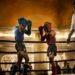 Battle of Surakarta 2026: Mencetak Masa Depan Muaythai Jateng