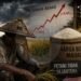 Harga Beras Naik, Mengapa Banyak Petani Tidak Sejahtera?