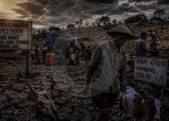 Kekeringan Ekstrem di Gunungkidul, Warga Jual Ternak Demi Air
