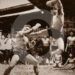 Dari Medan Perang ke Ring Dunia, Begini Perjalanan Muay Thai Menjadi Identitas Thailand