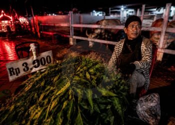 Pengunjung Alkid Terbagi, Penjual Kangkung Kebo Bule Sesuaikan Dagangan
