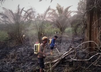 Karhutla Kalsel: 11 Perusahaan Disorot, Sanksi Mengintai