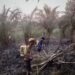 Karhutla Kalsel: 11 Perusahaan Disorot, Sanksi Mengintai
