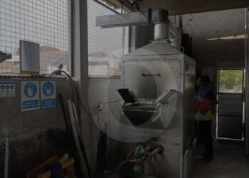 Dari Tumpukan Sampah ke Asap yang Tak Punya Batas