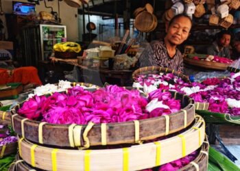Jelang Kemerdekaan, Bunga Tabur Mulai Dicari