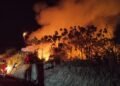 Karhutla Kalimantan Mengganas, Malaysia Kebagian Dampaknya