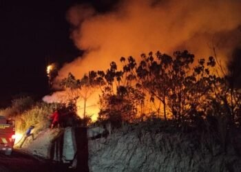 Karhutla Kalimantan Mengganas, Malaysia Kebagian Dampaknya