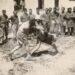 Bukan Sekadar Bertarung, Ini Filosofi Bertahan Hidup di Balik Krav Maga