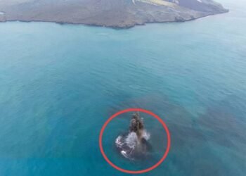 Dua Daratan Baru Anak Krakatau Muncul, Tapi Belum Aman Didekati