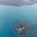 Dua Daratan Baru Anak Krakatau Muncul, Tapi Belum Aman Didekati