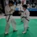 Kyokushin Dojo Solo: Dari Latihan ke Arena Kejuaraan