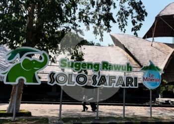 Aduan Larangan Jilbab di Solo Safari, Manajemen: Itu Miskomunikasi