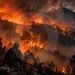 100 Hektare Terbakar, Kebakaran Gunung Lawu Belum Terkendali