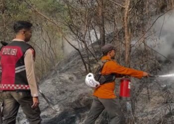 Karhutla Gunung Sumbing Meluas, Api Mengancam Hutan dan Permukiman