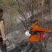 Karhutla Gunung Sumbing Meluas, Api Mengancam Hutan dan Permukiman
